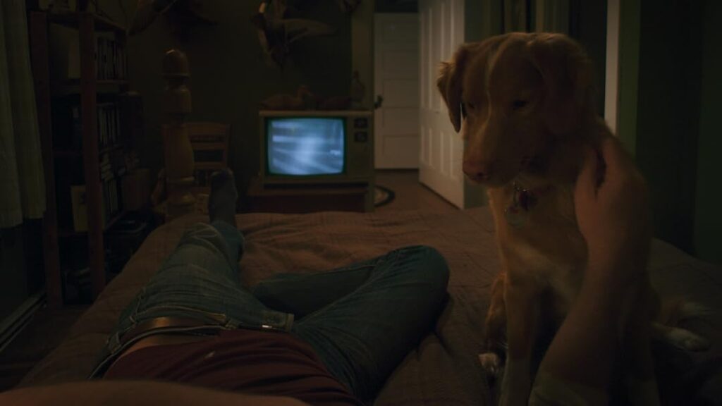 Good Boy
