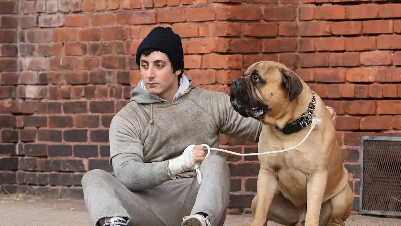 Sylvester Stallone